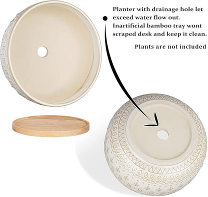 8 Inch Ceramic Succulent Planter Pots with Drainage Hole Flower Pot for Indoor Plants Round Shallow Bonsai Pot with Bamboo Tray White