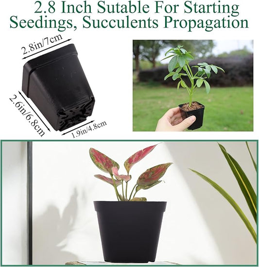 150 Packs Square Nursery Pots for Plants 2.8 Inch Succulent Plant Pots Set Plastic Seedling Starting Pots with Drainage Holes Nursery Pots Variety Pack Flower pots Planter Seed Starter, Black