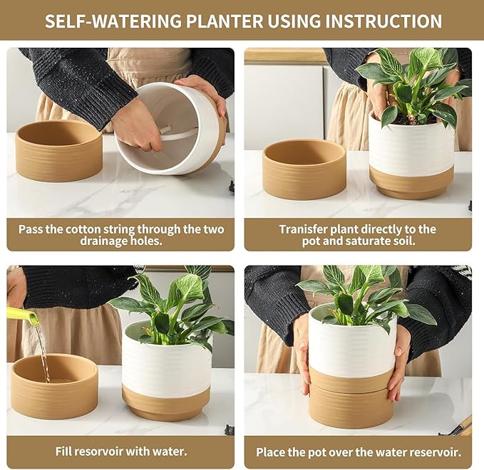 HASENSE Ceramic Plant Pots, 6 Inch Pot with Drainage Hole & Matching Saucer, Ideal for Indoor Succulents,Flower Pots for Decor,Succulent, Snake Plants, Cactus, Modern Decor Gift for Mom(White)