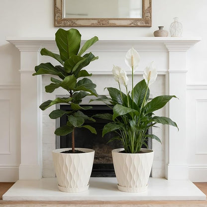 8 Inch Plant Pots, 2 Pack Plastic Planters for Indoor Outdoor with Drainage Holes & Saucers, Waffle Texture Flower Pots for Indoor Plants, Indoor Plant Pots for Monstera, Fiddle Leaf Fig, White