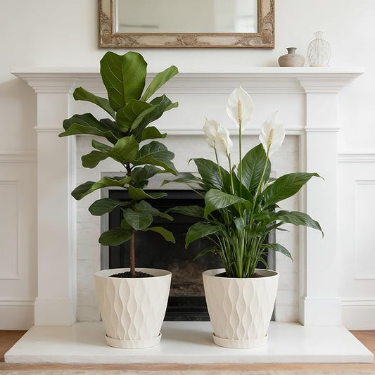 8 Inch Plant Pots, 2 Pack Plastic Planters for Indoor Outdoor with Drainage Holes & Saucers, Waffle Texture Flower Pots for Indoor Plants, Indoor Plant Pots for Monstera, Fiddle Leaf Fig, White