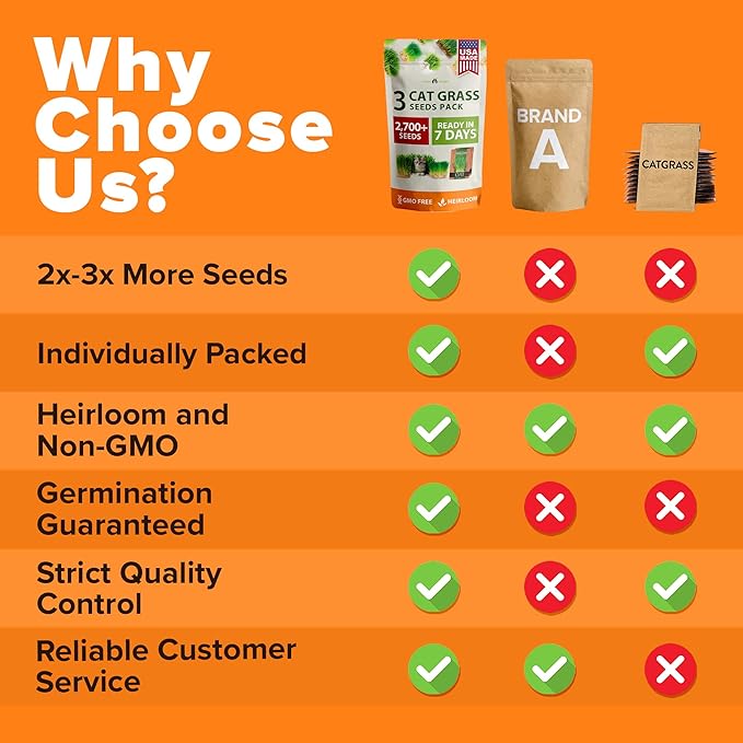 HOME GROWN 3 Cat Grass Seed Mix 2700 + Non-GMO Heirloom Oat, Alfalfa & Cat Grass Seeds | Indoor Pet Grass for Cats | High-Germination Greens for Hairball Control, Digestion, and Chewing Enrichment