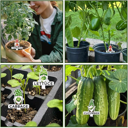 arricraft 15 Pcs Gnome Plant Markers, 15 Styles Vegetables Name Plants Tags Funny Garden Labels Acrylic T Type Plant Labels for Vegetables Seedling Potted Garden Stake Sign 10.2x6.8cm(4x2.68inch)