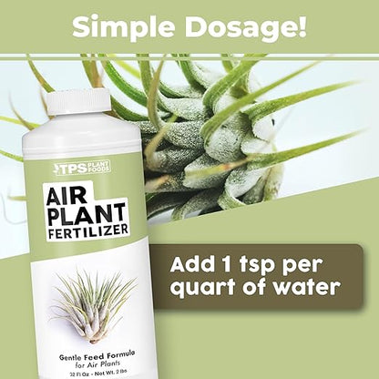 Air Plant Fertilizer – Concentrated Liquid- Soak or Spray Feeding - Plant Food for All Tillandsia (8 oz)