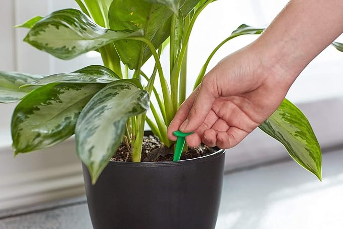 Scotts Indoor Plant Food Spikes, Includes 48 Spikes - Continuous Feeding for all Flowering and Foliage Houseplants - NPK 6-12-6, 48 Count (Pack of 12)