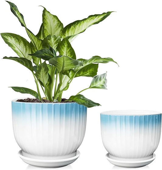 6.7 + 5.5 Inch Ceramic Plant Pots,Planters with Drainage and Saucer,Indoor Pots for Plants,Modern Flower Pots for Home and Office（Blue + White）