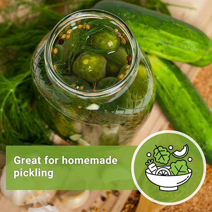 Sow Right Seeds - Dill Seed for Planting - Non-GMO Heirloom Packet with Instructions to Plant and Grow Herb Garden - Indoors or Outdoors - Homemade Dill Pickles - Wonderful Companion Plant (4)
