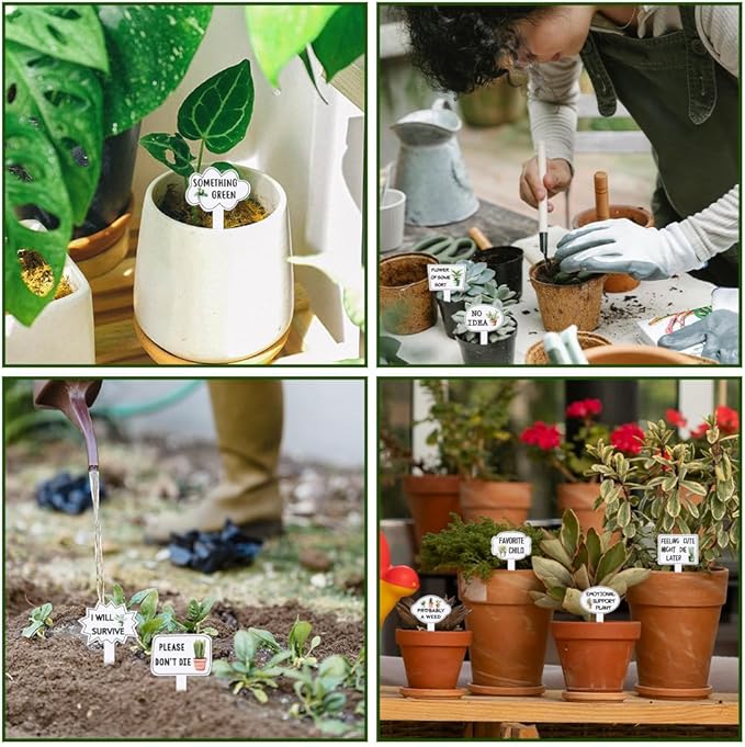 arricraft 15 Pcs Funny Phrases Plant Labels, 15 Styles Acrylic Succulent Cactus Pattern Potted Plant Markers for Indoor Outdoor Seed Patio Supplies 10.2x6.8cm(4x2.68inch)