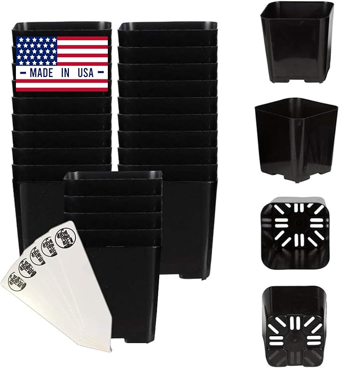 The Hydroponic City Black Square Flower Nursery Pots for Starting Seedlings, Succulents, or Cacti - 2" x 2", Pack of 25 + 5 THCity Stakes