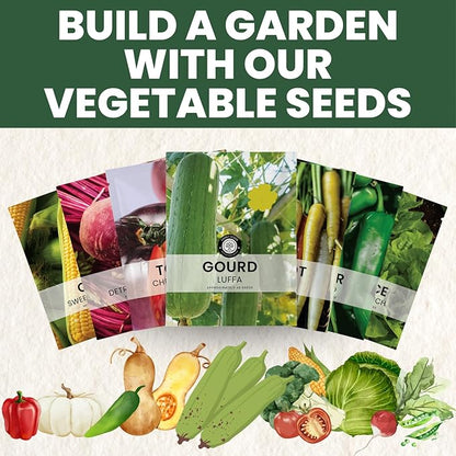 Luffa Gourd – 45 Premium Seeds for Planting – Natural Sponges, Vigorous Vines, Abundant Harvests for The 2026 Season – 5 Gram Pouch