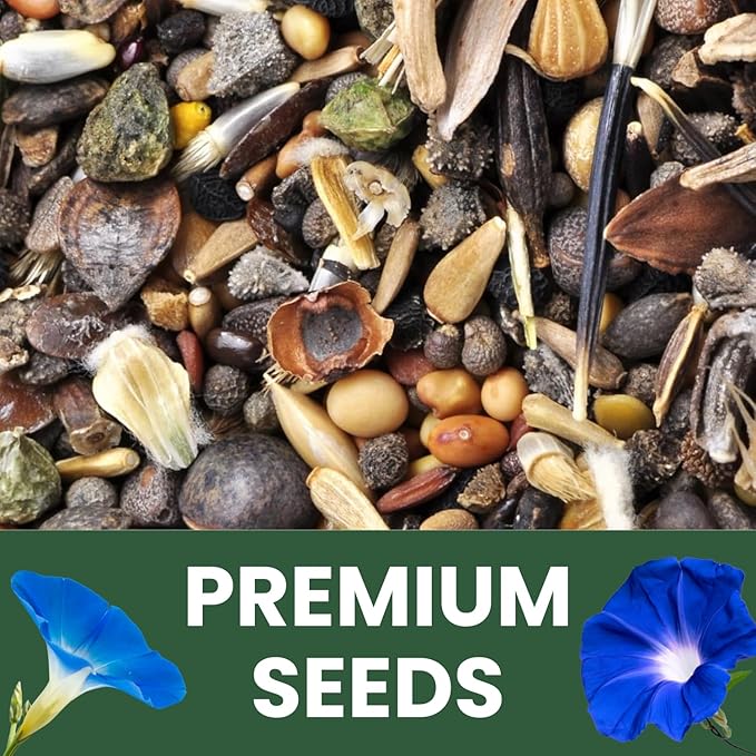 Morning Glory Heavenly Blue – 750 Seeds for Planting – 2026 Season – 1 Ounce Pouch
