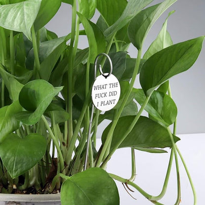 Lywjyb Birdgot Plate Metal Plant Labels Garden Stake Tags Funny Plant Label Plant Lover Gift Florist Gift Gardening Gift Funny Plant Markers (What Fuck Plant Markers)