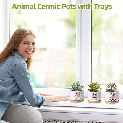 Vesici 3 Pcs Cow Gifts for Women Cow Planter Succulent Pots with Drainage and Bamboo Tray Small Ceramic Succulent Planters Animal Plant Pot for Christmas Office Home Decor Plant Lovers