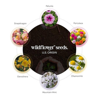 Seed Bloom 3D Heart Seed Paper Gift Set – 24 Plantable Heart Shapes with Wildflower Seeds, Includes Cards & Double-Sided Tape, Ready-to-Gift For Valentines Day Gift, Weddings & Special Occasion Favor