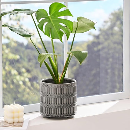 5 Inch Ceramic Planters for Indoor Plants, Gray Cactus Snake Plant Pots with Drainage, Unique Design Round Flower Pot for Home Decoration