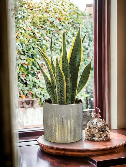 Small Ceramic Pot for Indoor Plants, 5.3 inch Plant Pot with Drainage Hole Decorative Texture Gold Planter Indoor Outdoor Flower Pots for Succulent Snake Plant Pothos Orchid