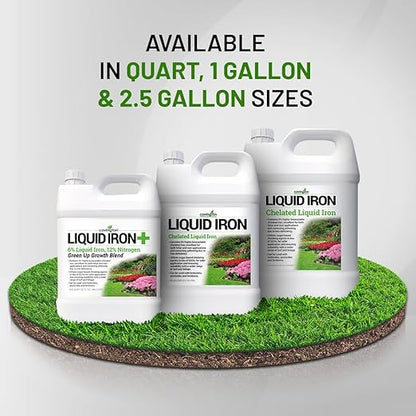 Covington Chelated Liquid Iron Concentrate (1 Gallon) Lawn & Garden Liquid Iron & Nitrogen Supplement for Plants, Shrubs & Trees, Treats Deficiency, Discoloration, Stunted Growth & Root Stress