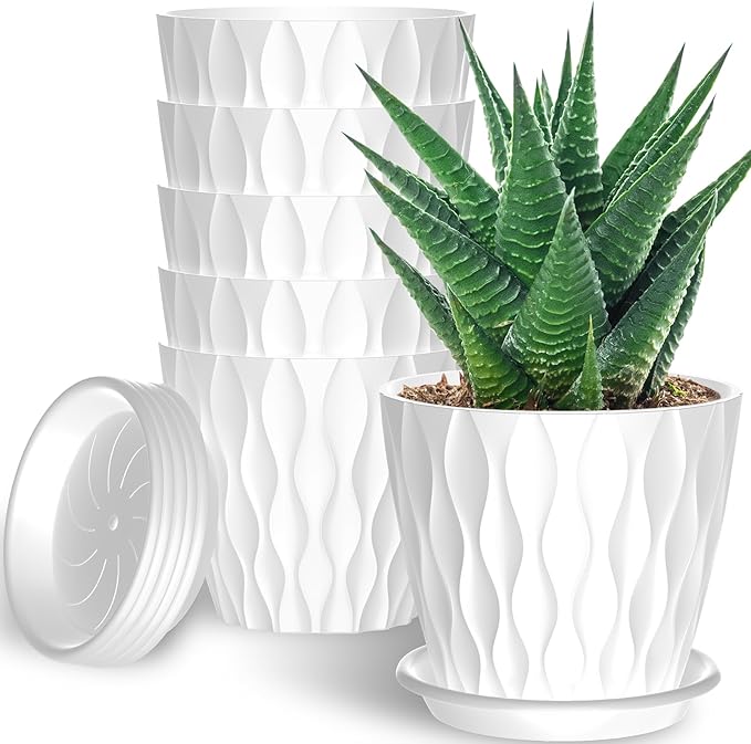 6 Pack 6 Inch Indoor Plant Pots with Drainage Holes, Outdoor Plastic Decorative Flower Pots, Garden Planters with Tray Saucers for Orchids, Violets, Succulents, Herbs, and Other Plants