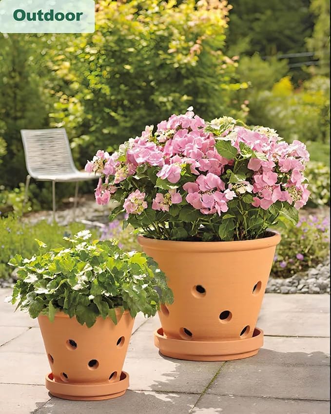 vensovo 8 Inch Terracotta Orchid Pots with Holes and Saucers, 2 Pack Large Clay Planters for Repotting, Terra Cotta Pots for Indoor & Outdoor Plants, Promotes Air Circulation