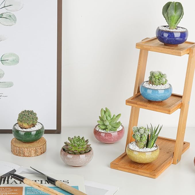 T4U 2.5 Inch Small Ceramic Succulent Planter Pot with Drainage Hole Set of 12, Ice Crack Glaze Plant Container for Cactus, Plant Lover Gifts for Women Mom Aunt Home Office Decor