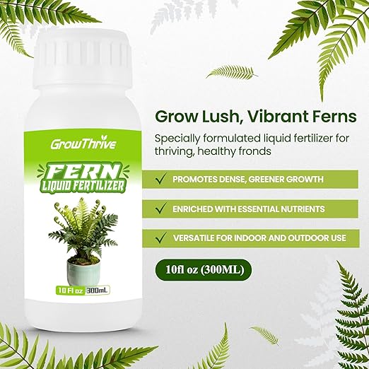 Fern Liquid Fertilizer – Natural Organic Plant Food for Ferns, Indoor & Outdoor Use, 300ml Concentrated Probiotic Formula for Greener Leaves, Strong Roots & Healthy Growth