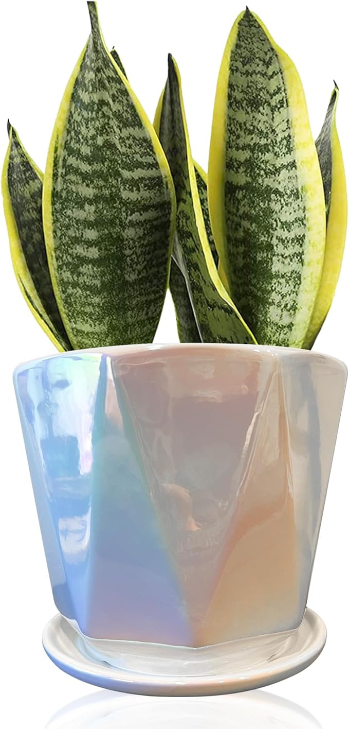 Coco Andrea Ceramic Plant Pots for Indoor Plants with Drainage & Saucers - 5-inch Iridescent White Planters for Houseplants, Succulents & Flowers - Housewarming Gift Set (1-pc, Small)