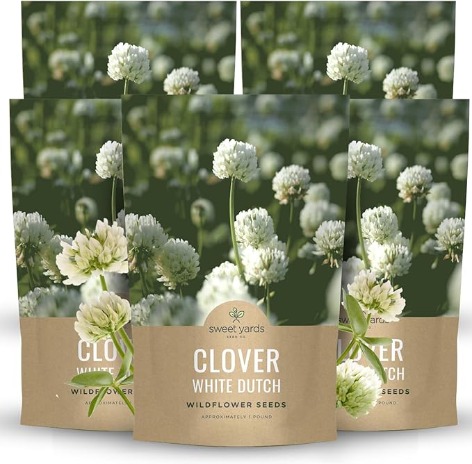 White Dutch Clover - Bulk 5 Pounds - 3,000,000 Flower Seeds for Planting - Trifolium repens