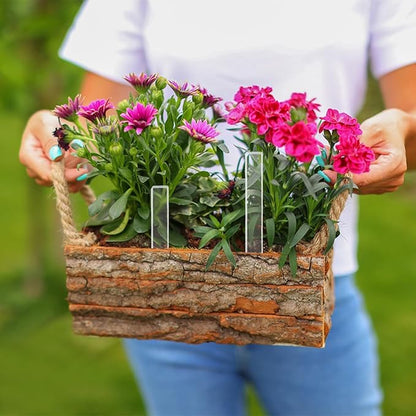 CHGCRAFT 60 Pcs Clear Blank Ground Identifier Tag Double Sided Laminating Plant Identifier Marker Garden Identification Label Ground Identifier Tag Acrylic Plant Marker