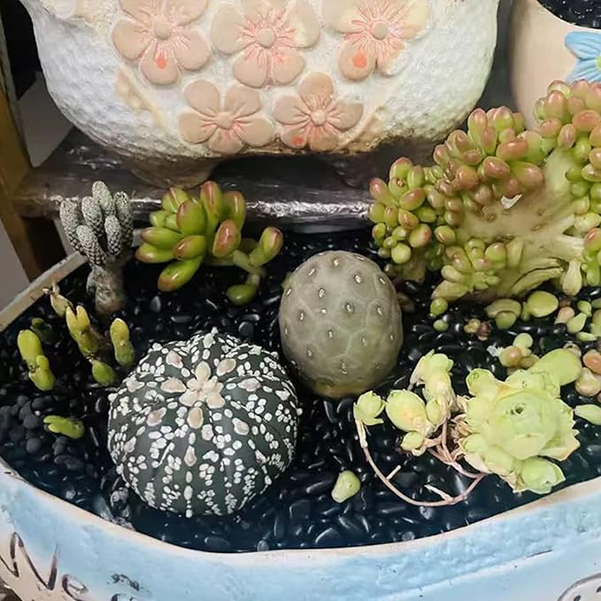 Black Pebbles for Indoor Plants, 3/8 inch Small Bag Stones, Decorative River Rocks for Succulent Potted Plant, Vase and Outdoor Landscaping Garden(16 oz)