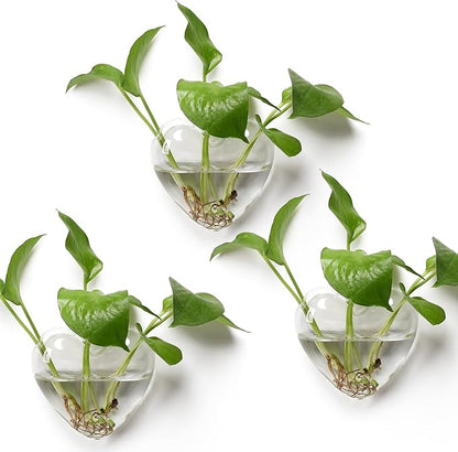 Wall Hanging Planter Propagation Station for Indoor Plants Glass Vase Air Plant Holder for Bathroom Living Room