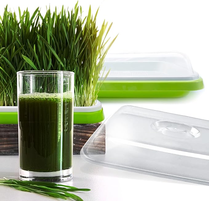 Seed Sprouter Tray with Drain Holes,Seed Germination Tray Kit BPA Free Nursery Tray,Soil-Free Big Capacity Healthy Wheatgrass Grower Sprouting Container (5 Pack with lid-Light Green)