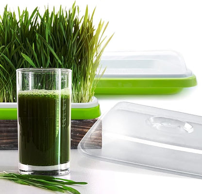 Seed Sprouter Tray with Drain Holes,Seed Germination Tray Kit BPA Free Nursery Tray,Soil-Free Big Capacity Healthy Wheatgrass Grower Sprouting Container (5 Pack with lid-Light Green)