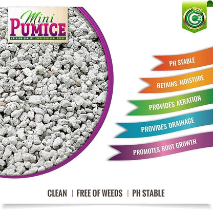 Pumice Stone Grow Media - Made in USA for Bonsai • Succulents • Cactus • Orchids - Horticultural Soil Amendment Additive Conditioner for Indoor and Outdoor Plants and Flower Gardens. OMRI Listed