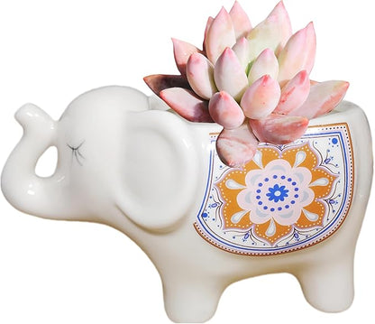 Cute Animal Elephant Shaped Ceramic Succulent Cactus Air Plant Flower Pots Planters-Plant Not Included (White)