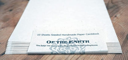 10 Seed Embedded Recycled Lotka Cardstock Handmade Paper