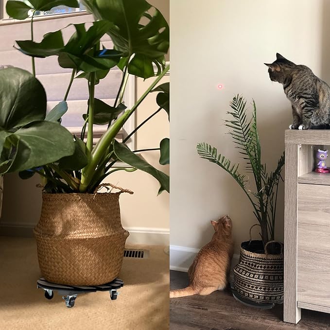 2 Pack Plant Stand with Wheels, Plant Caddies with 360° Lockable Smooth Sliding Wheels Durable Sturdy, Outdoor/Indoor Heavy Duty Rolling Plant Stand for Plant Pot,Flower Pot (Black 14")