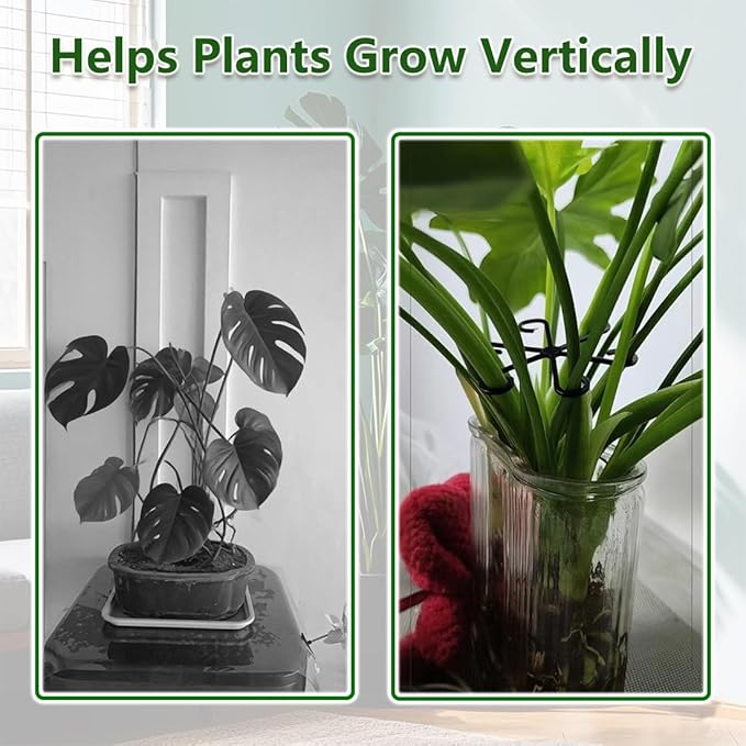 8PCS Climbing Plant Stem Supports 4 Sizes, Reusable Plastic Stakes Indoor/Outdoor Garden Flower Growth Accessories Stem Holder for Thriving Plant Growth (Black)