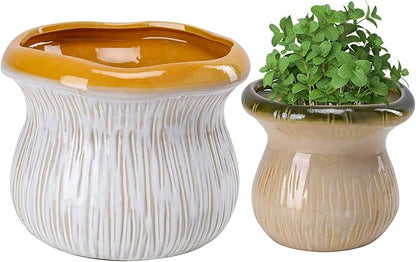 2 Pack Plant Pot Flower Pots Ceramic Planter with Drainage Hole Small Ceramic Pots for Indoor Outdoor Plants Succulent Pot