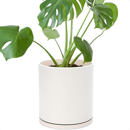 D'vine Dev Double-Layer Planter Set – Rotating Plastic Cachepot with Clear Inner Liner for Root Health, Perfect for Indoor Plants, 6.5", Oatmeal, 73-U-D-2