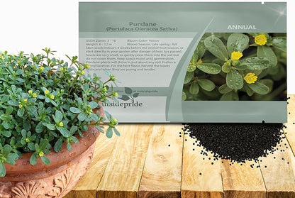 Outsidepride Green Purslane Seeds for Planting - 5,000 Pcs Annual, Easy to Grow, Vitamin-Rich & Drought Tolerant Succulent Seeds for Culinary, Xeriscaping, Containers & Hanging Baskets