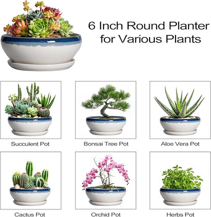 SQOWL Succulent Planters 6 Inch - Ceramic Bonsai Pots with Drainage Hole and Saucer, Round Shallow Planter for Indoor Outdoor Plants, Ceramic Cactus Pot, Apartment Decor, Gifts for Women, Blue-Beige