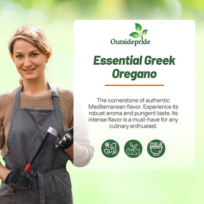 Outsidepride Greek Oregano Seeds - 5000 Pcs Perennial, Aromatic Easy to Grow Herb Seeds for Culinary Use, Flavorful Oregano Gardens & Tea Preparation, Food Seasoning & Traditional Uses