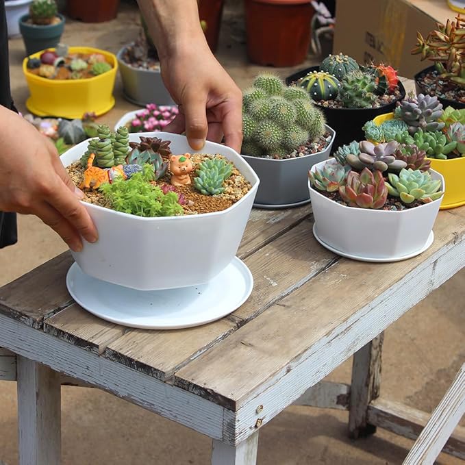 BangQiao 8 Pack 8.00 inch and 5.90 inch White Plastic Shallow Plant Pot, Octagon Bowl Planter Container with Pot Tray for Succulents, Cactus