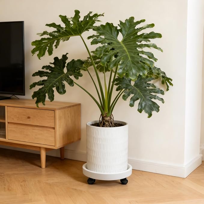 12 Inch Plant Pot with Caddy,Ceramic Planter with Drainage,Large Planters for Indoor Plants,Indoor&Outdoor Plant pots,Ceramic Flower pots,Cylinder Flower Planter Pot(Pure White)