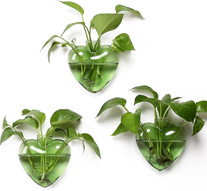 Wall Hanging Planter Propagation Station for Indoor Plants Glass Vase Air Plant Holder for Bathroom Living Room