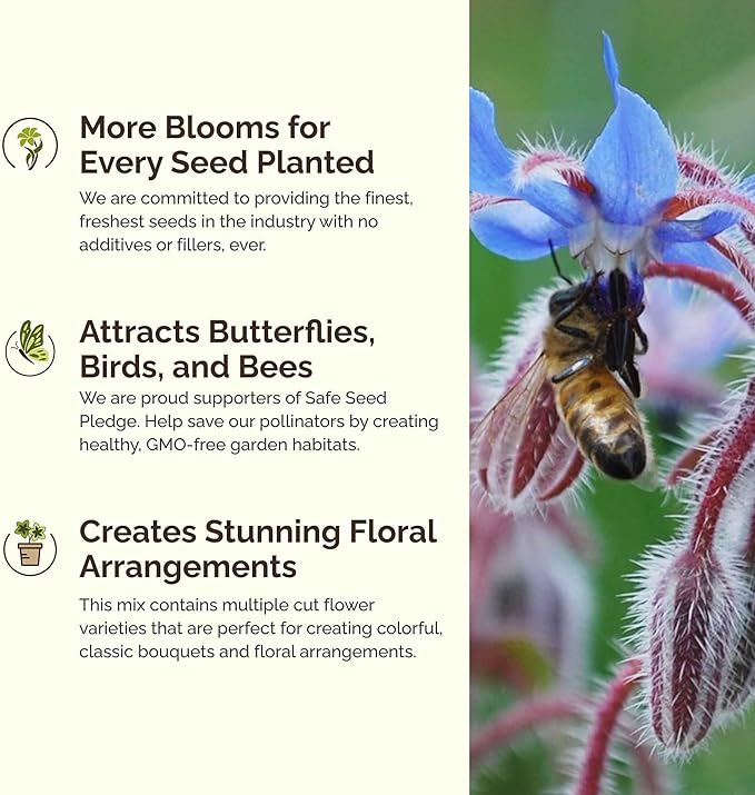 Eden Brothers Bee Happy Organic Wildflower Mixed Seeds for Planting, 5 lb, 2,400,000+ Seeds with Cosmos, Crimson Clover | Attracts Pollinators, Plant in Spring or Fall, Zones 3, 4, 5, 6, 7, 8, 9, 10