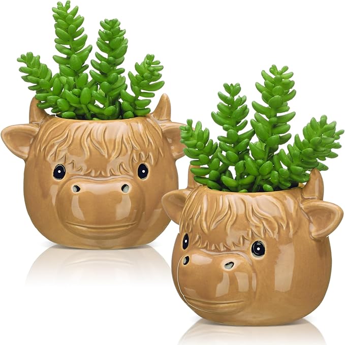 Sieral 2 Pcs Highland Cow Succulent Pots with Drainage Cute Animal Ceramic Planter Pots Plants Holder Cow Shaped Cactus Flower Container for Home Display and Office Desk Decoration