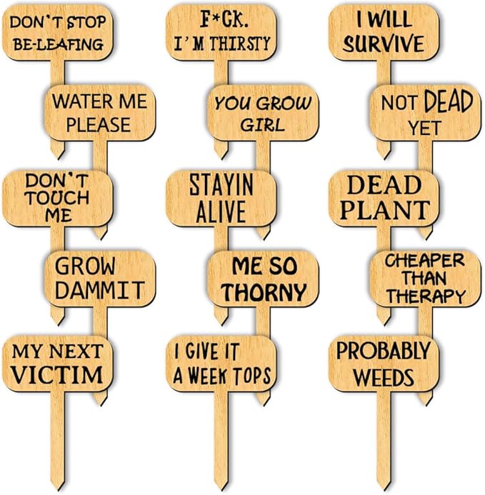 arricraft 15 Pcs Wood T-Type Plant Tags, 1.96x2.75inch/5x7cm Plant Labels with Growing Words Talking Plant Funny Wooden Plant Sign for Garden Markers Nursery Seedling Potted Herb Flower Vegetables