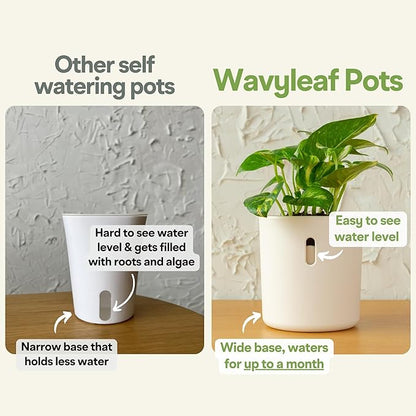 Self Watering Pot for Leca and Pon, Semi Hydroponic Planter for Indoor Plants, Clear Inner Pot & Water Level Indicator (White (4-Pack), 4 inch)