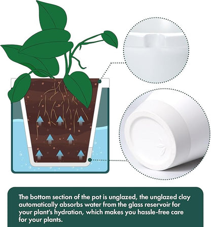 D'vine Dev 8 Inch Design Self Watering Planter for Indoor Plants, White Terracotta Pot with Teal Cylinder Glass Cup, 37-X-C-5
